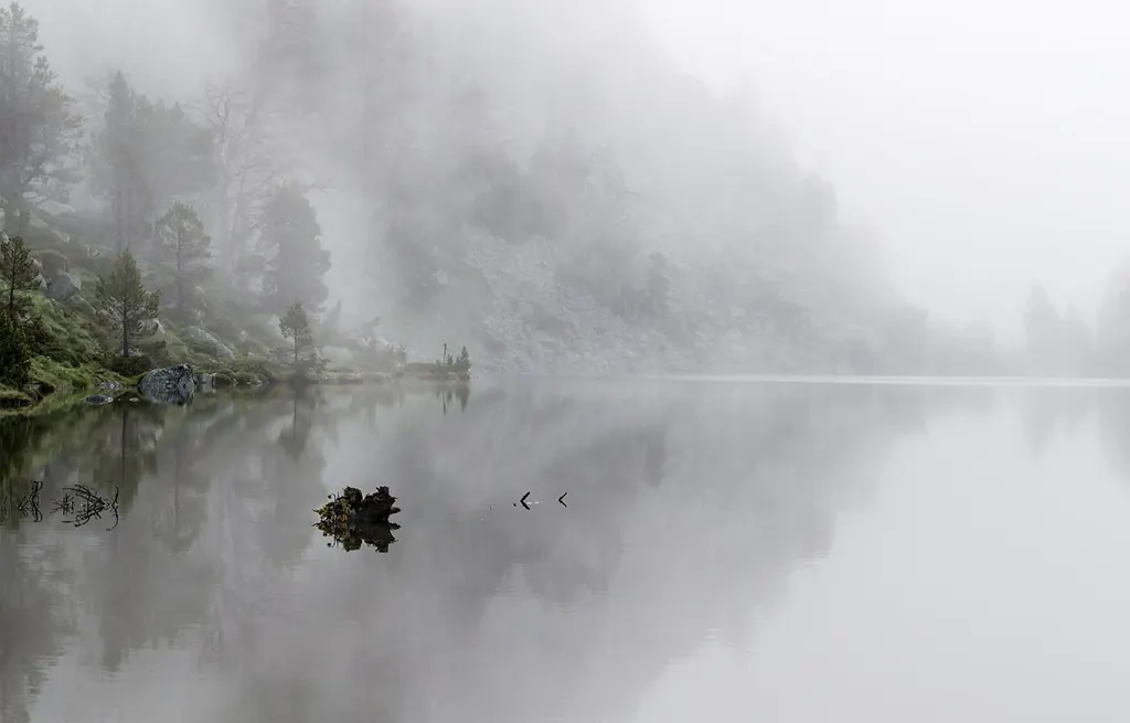Lac et rives boisées noyés dans un épais brouillard blanc